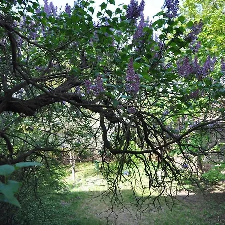 Appartement Poznanska