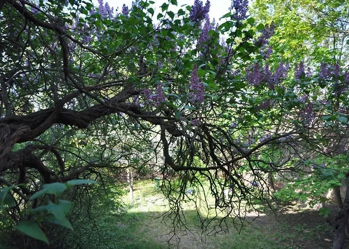 Appartamento Poznanska